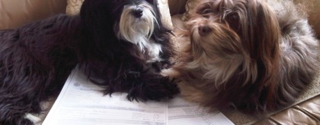 Miko, CGN, and Ellie, CGN