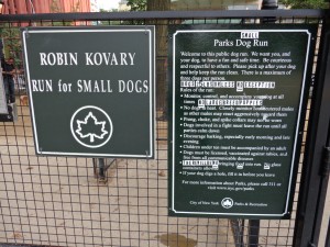 Robin Kovary Small Dog Run New York City