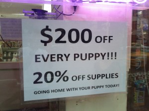 Wow, now we can afford our new puppy!