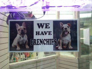 Why yes, we have Frenchies