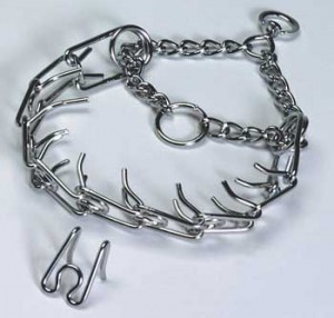 Pinch Collar / Prong Collar