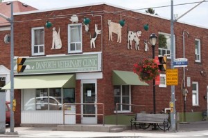 Danforth Veterinary Clinic, 966 Pape Avenue.