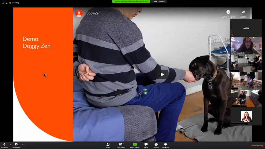 online dog training multimedia slides videos