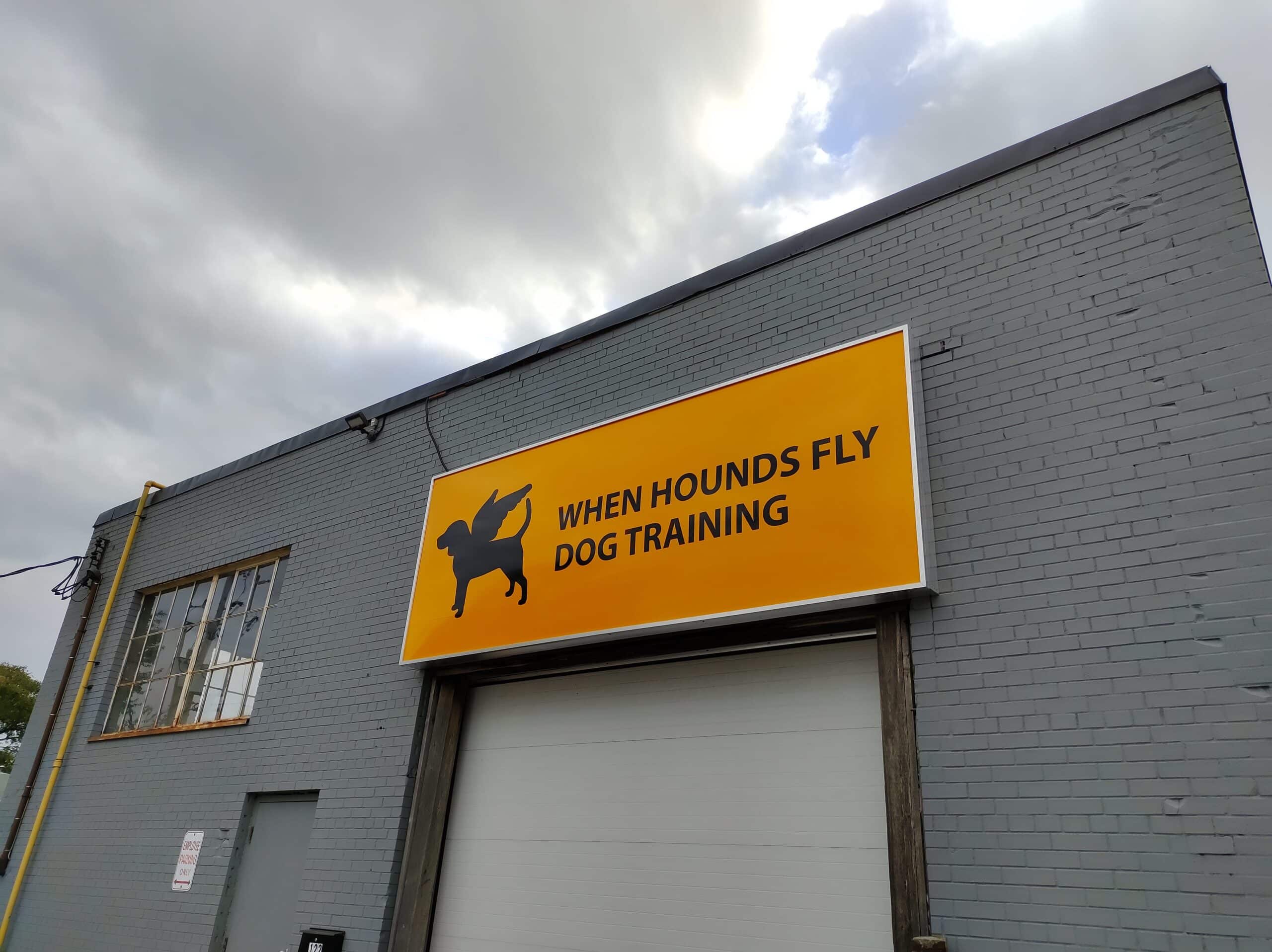 When Hounds Fly South Etobicoke