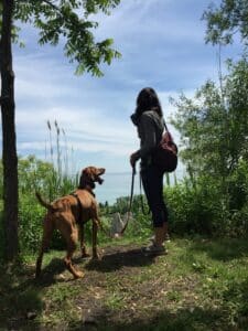 Oscar, Viszla dog with Rachael, on a leash walk in the woods