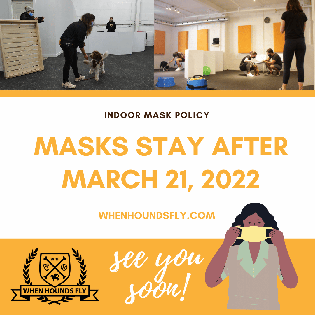 Masks Stay After March 21, 2022