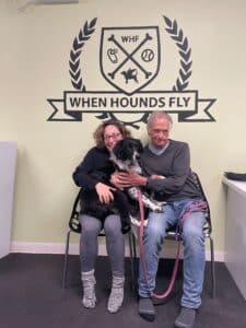 border collie rescue dog