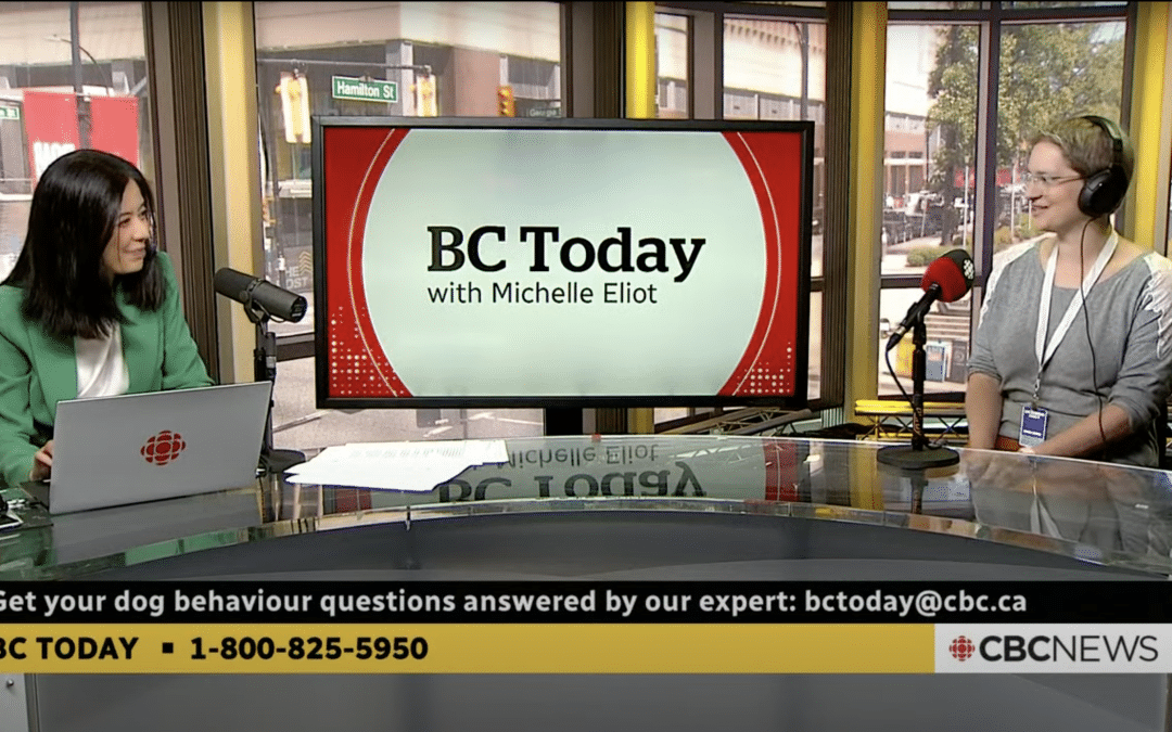 Sarah Shapiro-Ward on BC Today with Michelle Eliot
