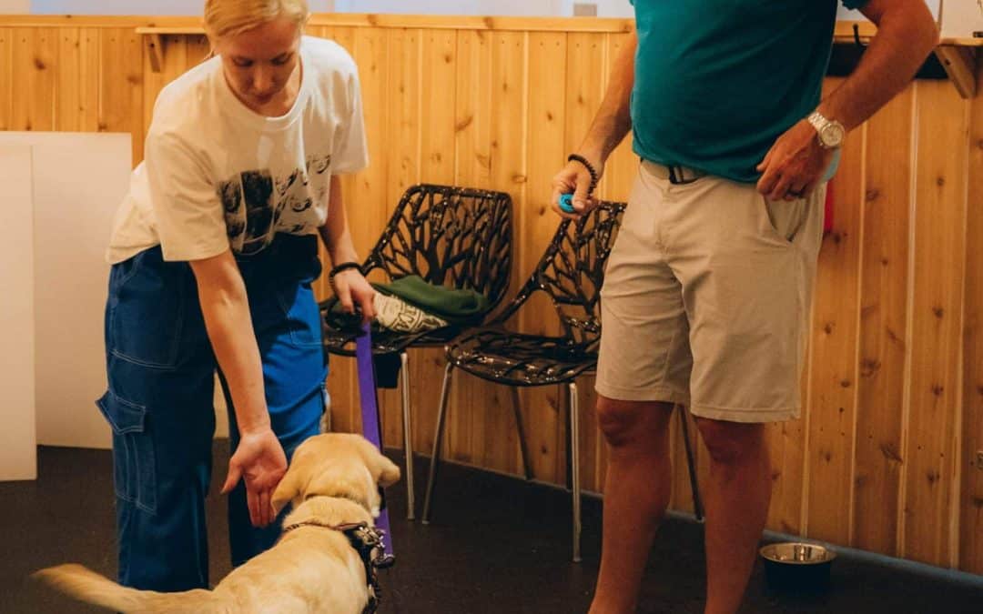 dog trainer coaching dog and client