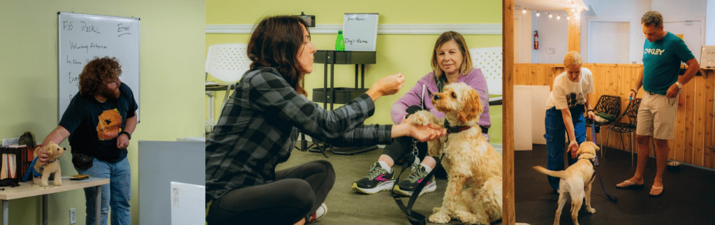 photos of dog trainers coaching clients