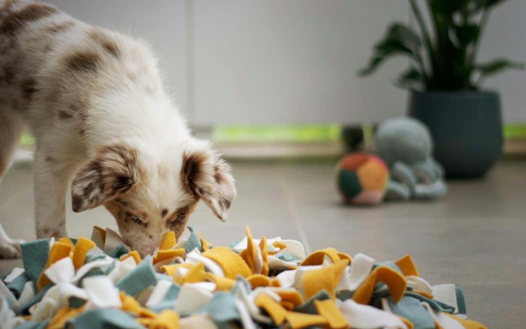 a puppy playing with a pile of shredded paper