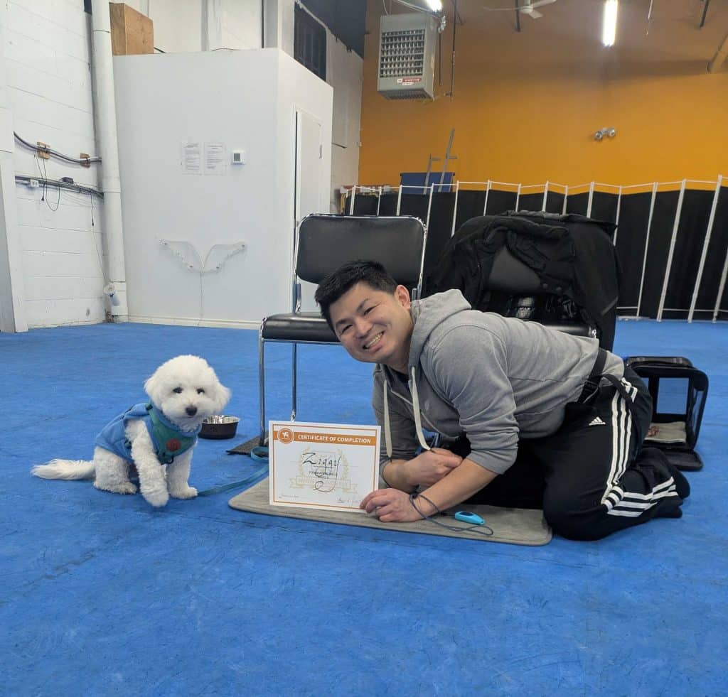 Is Dog Training Worth the Money